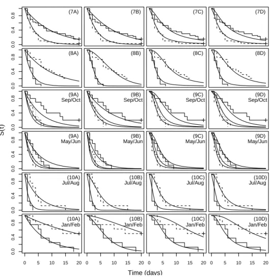 Figure 4.2: Empirical (step functions) and ﬁtted parametric survivor functions at 7 - WF7 (step solid line: Jan/Feb and step dashed line: