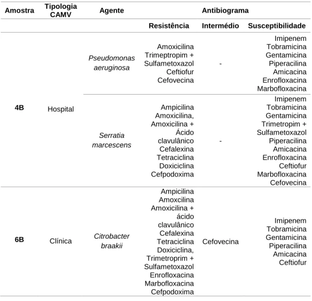 Tabela 7 - Caracterização das amostras positivas: identificação do agente microbiano e  respectivo teste de sensibilidade aos antibióticos.