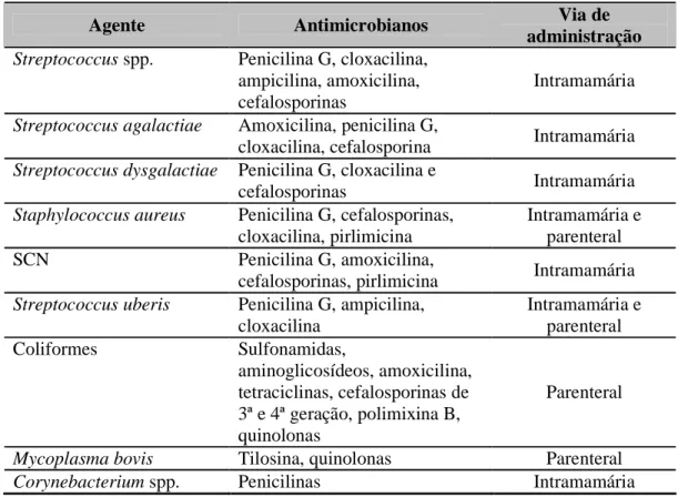 Tabela 6 – Agentes antimicrobianos e via de administração mais apropriada para cada agente 