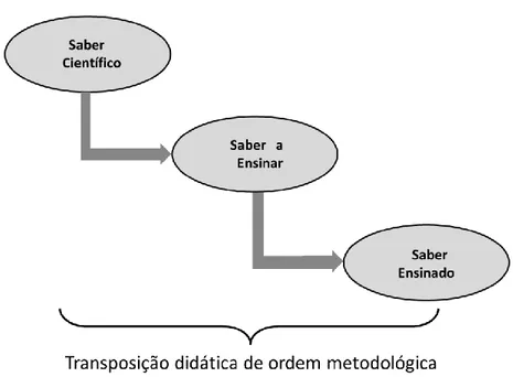 Figura 3: Transposição Didática de 1ª Ordem 