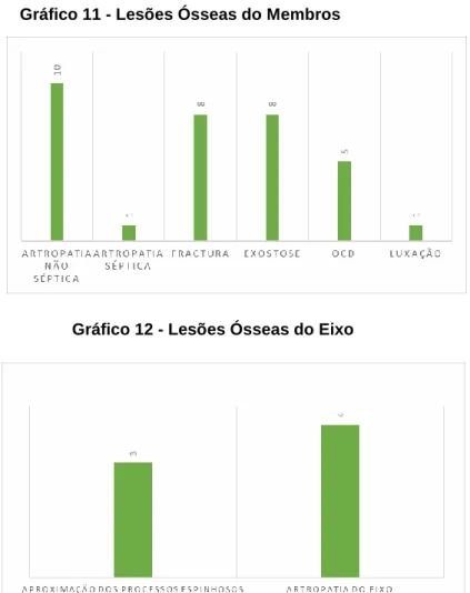 Gráfico 12 - Lesões Ósseas do Eixo 