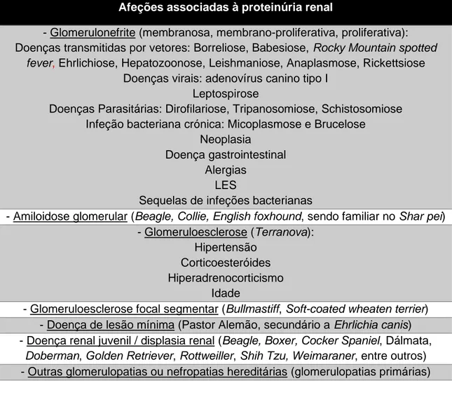 Tabela 4: Afeções e/ou doenças associadas à proteinúria renal. LES: Lúpus  eritematoso sistémico; IBD: Doença inflamatória intestinal (Adaptado de Elliott, Grauer 