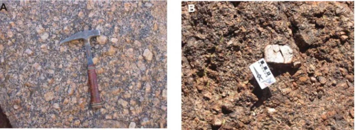 Figura 23. A e B) Sienogranito porfirítico com megacristais de feldspato potássico idiomórficos de  até 7 cm
