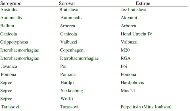 Tabela 2 – Lista dos antigénios vivos utilizados, por rotina, pelo LRV-Açores na Técnica  de Aglutinação Microscópica 