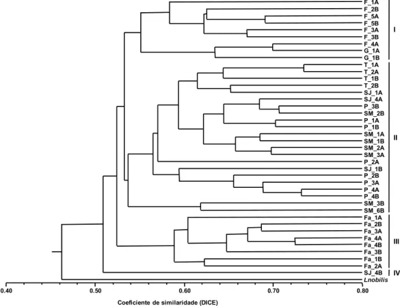 Figura 3.4 – Dendrograma obtido pela análise de clusters baseada na amplificação de bandas de Laurus  azorica com primers RAPDs e ISSRs segundo a associação média (UPGMA), utilizando o coeficiente DICE  como medida de semelhança genética