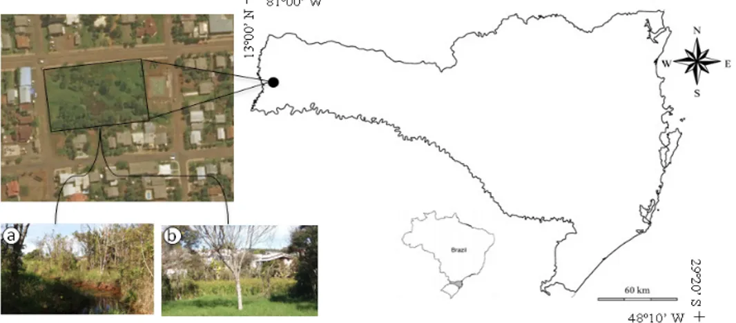 Figura 1 – Mapa do Estado de Santa Catarina, Sul do Brasil, indicando área urbana amostrada no Município São Miguel d’ Oeste