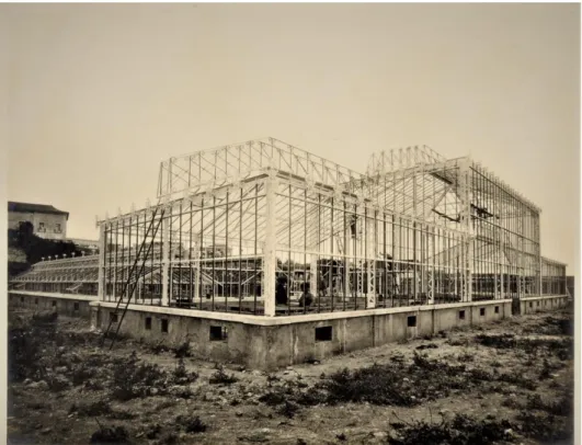 Figura 13 - Imagem do início da construção da Estufa Principal, (1913-1914).  