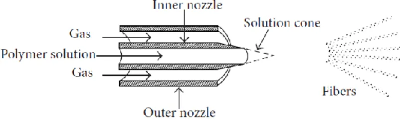 Figure 2.1 - Cutaway diagram of the concentric nozzle system used in solution blow spinning [26]