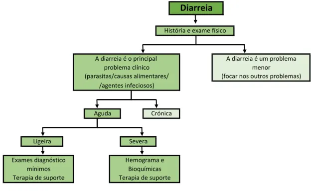 Gráfico 7  – Abordagem ao animal com diarreia (adaptado de Willard, 2017) 
