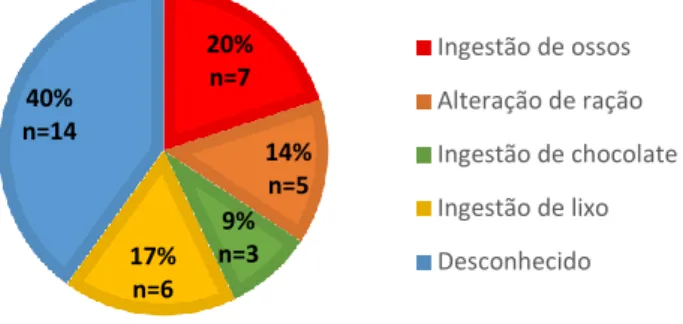 Gráfico 14 – Distribuição dos animais com gastroenterite por reação alimentar adversa