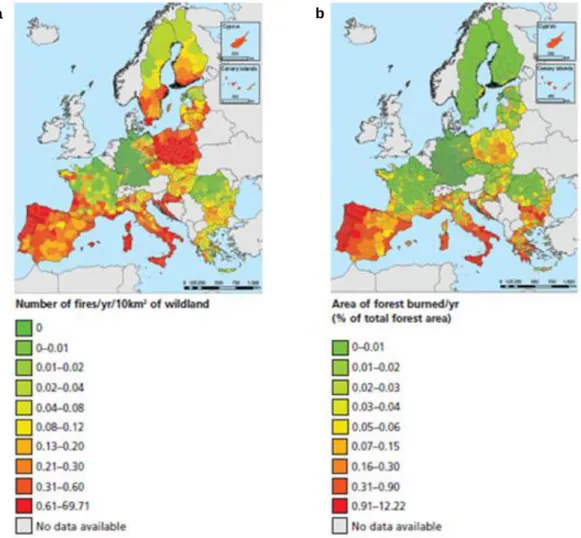 Fig. 3 – Geographical distribution of forest fires in Europe, in the period 1998-2007