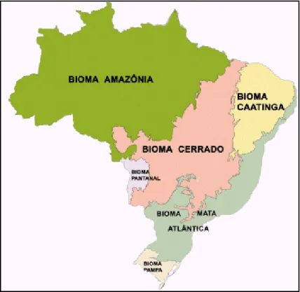 Figura  3.  Mapa  do  Brasil  esquematizando  os  biomas  brasileiros. 
