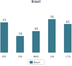 Figure 1 - 5-D model for Brazil 