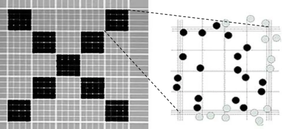 Fig.    8  -  Schematic  representation  of  part  of  an  hemotocytometer  (Marienfeld®,  2.5  μm 2 )