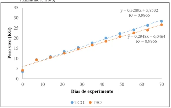 Gráfico 1 – Peso vivo (kg) dos cordeiros nos dois tratamentos: TCO (tratamento com ovo) e TSO  (tratamento sem ovo)