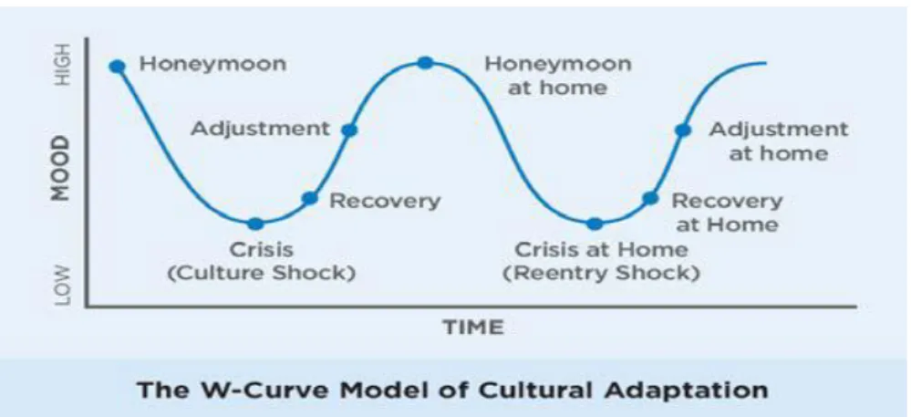 Figura 6 - Adaptação psicológica e sociocultural ao longo do tempo 