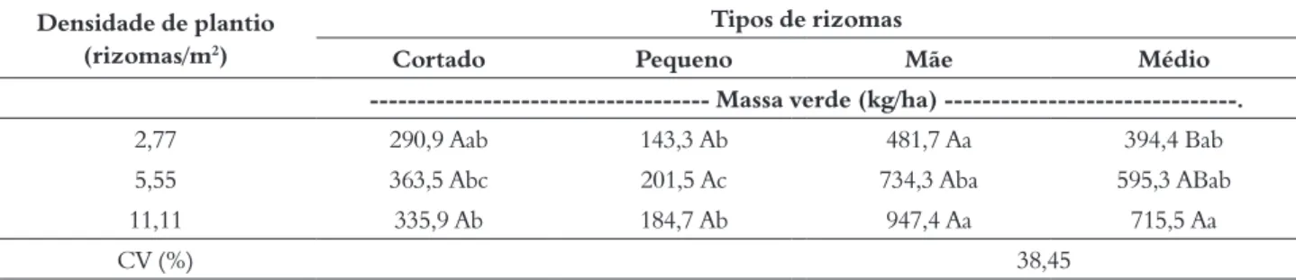 Tabela 7 – Produtividade de massa seca dos rizomas mãe de açafrão Densidade de plantio 