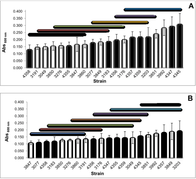 Figure 5 - Biofilm-forming ability tested by CV staining. Biofilms were grown for 48 h at 25 ºC (A) and  for 168 h at 11 ºC (B)