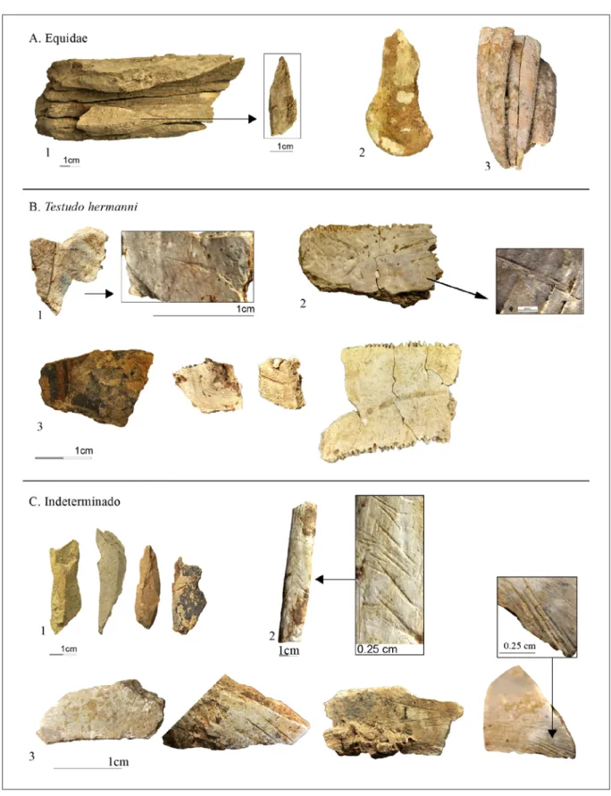 Figura 4.  A) Restos de Equidae: 1. Fracturas frescas con lasca de percusión; 2. Fractura fresca; 3