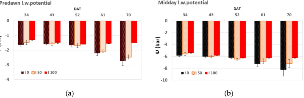 Figure 2. (a) Predawn and (b) midday water potentials of fully irrigated (I 100 ), moderately water-stressed (I 50 ) and severely water-stressed (I 0 ) spearmint plants along the growth cycle