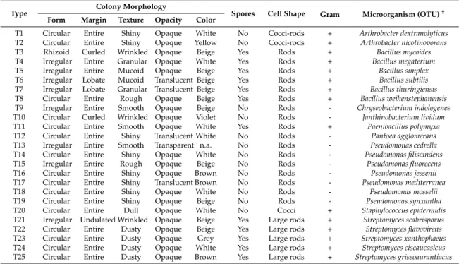 Table 1. Identification of the bacterial morphological types isolated in the culture media plates inoculated with the soil samples.