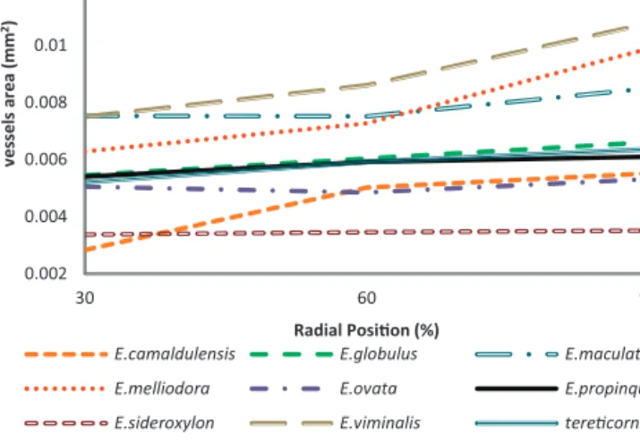Fig. 2. Radial variation of vessel area, measured at 30%, 60% and 90% of the radius, of E