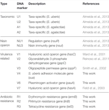 TABLE 2 | DNA probes used in this work.