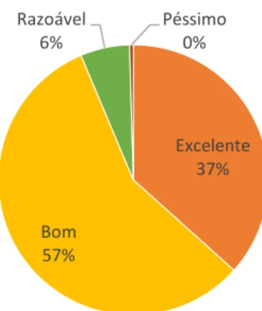 Figura 3.2- Classificação da experiência de visita ao NewsMuseum 