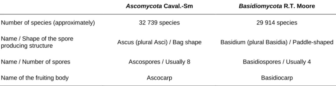 Table 1.1. Some characteristics of the principal phyla where the macrofungi belong. [1-3]