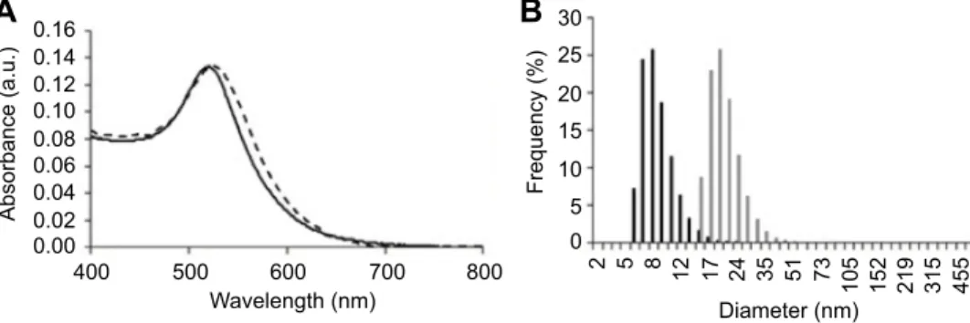 Figure S2 Characterisation of the antiangiogenic-AuNPs. (A) UV–Vis spectra of AuNPs (continuous black line) and antiangiogenic-AuNPs (doted grey line)