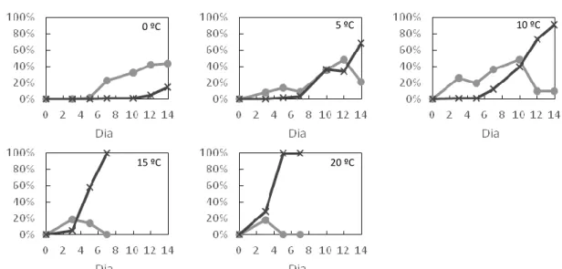 Figura 5 – Evolução da incidência de pisaduras e podridões, em percentagem do total de  frutos, a diferentes temperaturas em função do tempo de armazenamento