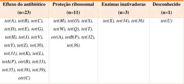 Tabela 5 – Mecanismos de resistência mediado pelos genes tet e otr (adaptado de Roberts,  2005)