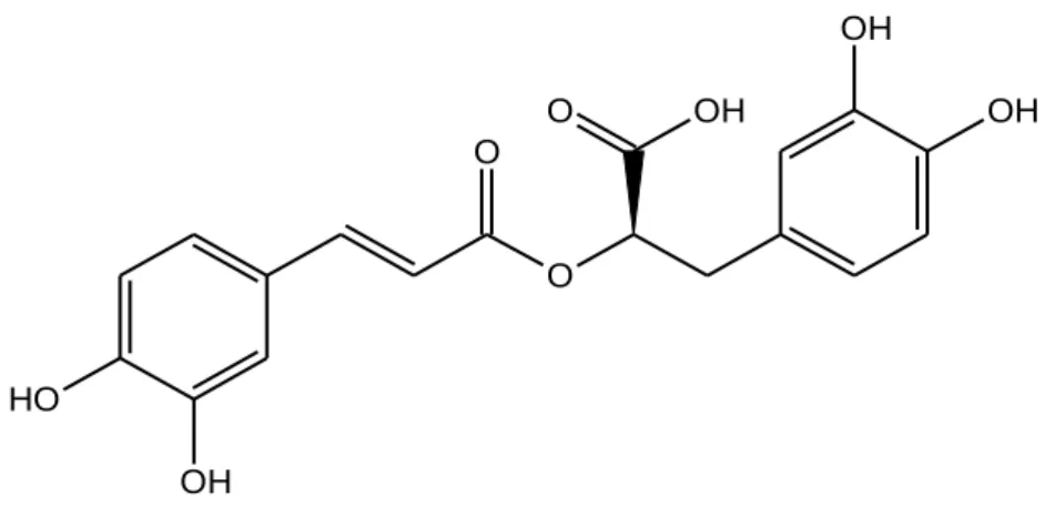 Figura 8 – Ácido rosmarínico. Fonte: Desenhado a partir do ChemSketch. 