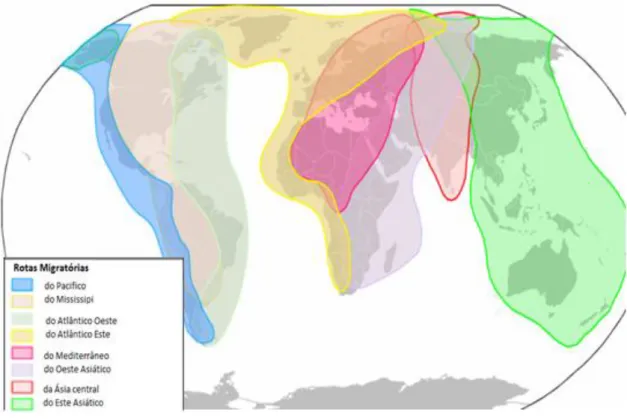 Figura 2Corredores de migração de aves, segundo ThompsonandByrkjedal.(2001) 