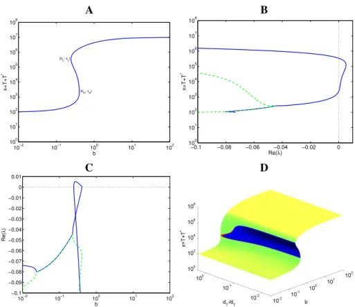 Figure 2.3 A: Antigen function b(x, y) that relates the antigenic stimulation b of T cells, the concentra- concentra-tion of T cells x = T +T ∗ and the concentration of Tregs y = R + R ∗ 
