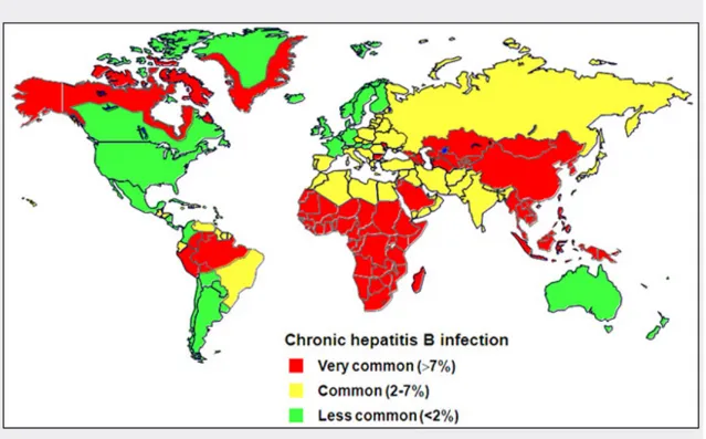 Figura  1  –  Distribuição  da  infecção  por  VHB  no  Mundo.  Fonte  -  Centers  for  Disease  Control and Prevention (CDC) 