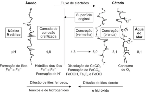 Fig.  2.4  –  Esquema  da  corrosão  para  o  ferro  fundido imerso em água do mar (adaptado de North,  1976 e de Degrigny e Spiteri, 2004)