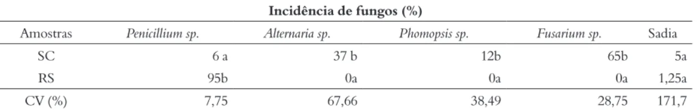 Tabela 4 – Incidência de fungos (%) em frutos de Ilex paraguariensis, oriundos de dois lotes de sementes, RS e SC, detectados pelo                    método do papel-filtro
