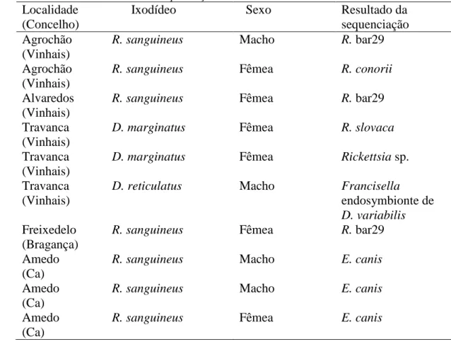 Tabela 3- Resultados diferenciados da sequenciação dos ixodídeos 