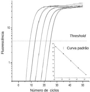 Figura I.5.1. Curva padrão da reacção de PCR em tempo  real.  As  curvas  estão  em  escala  logarítmica  para  cinco  amostras  padrão