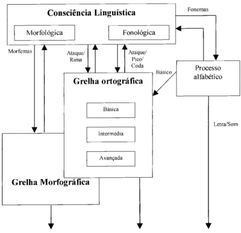 Figura 9. Representação esquemática da literacia alicerce segundo o modelo de processo  unitário de arquitectura cognitiva 