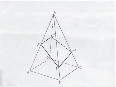 Figura 2 - Figura da secção 