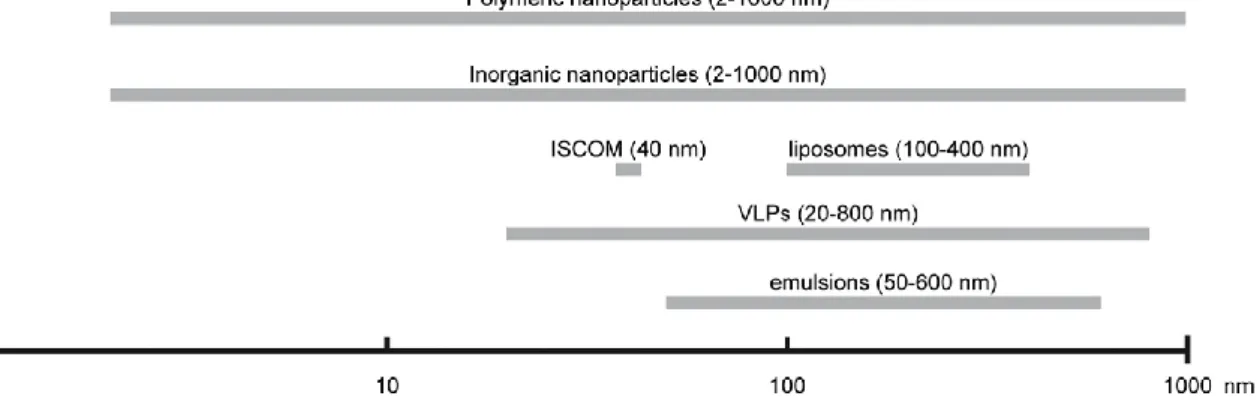 Figure 2. The size range of nanoparticles used in nanovaccinology. Adapted from  Zhao et al Vaccine 32 (2014) 327– 337 
