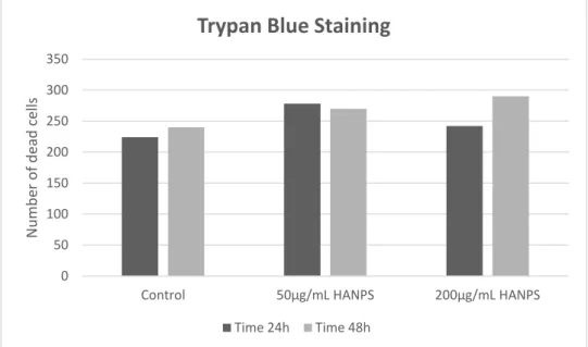 Figure 12. Cell counting using Neubauer chamber. Results show no significant influence  in cell viability of HA-NPs containing samples over the periods of 24h and 48h