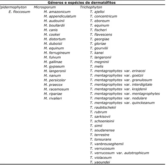 Tabela 1- Espécies de dermatófitos dos géneros Epidermophyton, Microsporum e Trichophyton