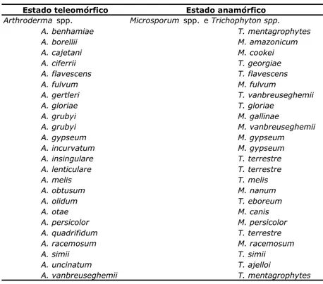Tabela 2- Estados teleomórficos e anamórficos dos dermatófitos. 