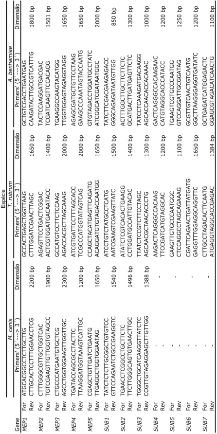 Tabela 5- ‘Primers’ utilizados para a amplificação dos genes MEP e SUB.