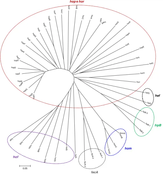 Figura  6:  Análise  filogenética  das  cinco  famílias  de  parólogos  da  estirpe  de  referência  J99