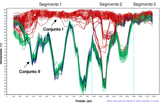 Figura  10:  Representação  gráfica  da  similaridade  entre  165  sequências  de  nucleótidos  do  gene  homC  de  estirpes  de  Helicobacter  pylori  (estirpes  de  origem  Ocidental, vermelho; Oriental/Ameríndia, verde e Africana, azul)