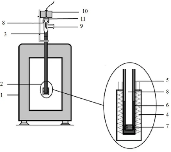 Figura  2.1.  Esquema  do  microcalorímetro  Calvet  utilizado  neste  trabalho:  microcalorímetro  DAM  Calvet  (1),  elemento  calorimétrico (2), célula de medida (3), termopar (4), tubo de Teflon (5), cilindro de latão (6), resistência de fio de mangani